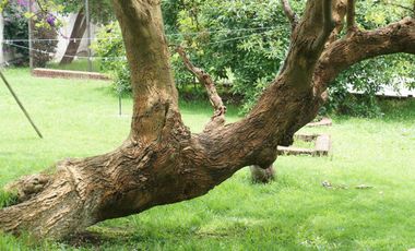 Quinta en venta, Tenancingo, Estado de México.