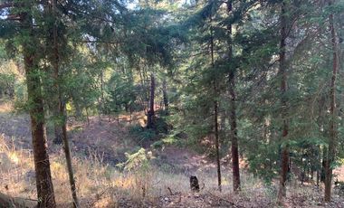 Casa en venta, Barrio de los Colchones, San José Villa de Allende, Edo. de México.