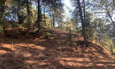 Casa en venta, Barrio de los Colchones, San José Villa de Allende, Edo. de México.
