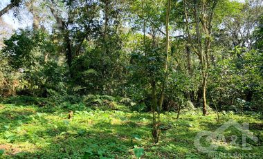 Terrenos en Venta en Higueras del Guayabal