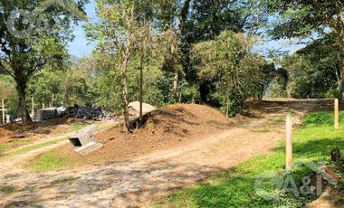 Terrenos en Venta en Higueras del Guayabal