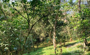 Terrenos en Venta en Higueras del Guayabal