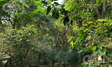 Terrenos en Venta en Higueras del Guayabal