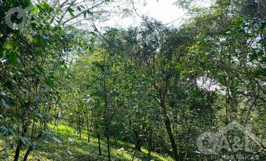 Terrenos en Venta en Higueras del Guayabal
