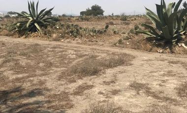 Terreno venta - Tepeyahualco Alchichica, Puebla