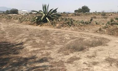 Terreno venta - Tepeyahualco Alchichica, Puebla