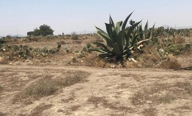 Terreno venta - Tepeyahualco Alchichica, Puebla