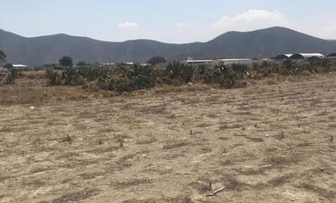 Terreno venta - Tepeyahualco Alchichica, Puebla