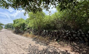 Terreno con vista al lago de Chapala, San Nicolás de Acuña, 1,000 M2