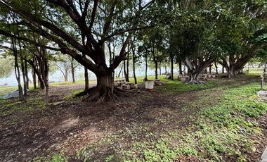 Terreno con vista al lago de Chapala, San Nicolás de Acuña, 1,000 M2