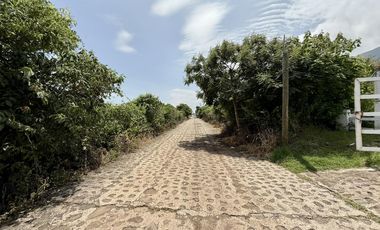 Terreno con vista al lago de Chapala, San Nicolás de Acuña, 1,000 M2