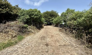 Terreno con vista al lago de Chapala, San Nicolás de Acuña, 1,000 M2