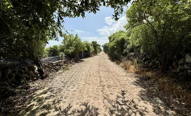 Terreno con vista al lago de Chapala, San Nicolás de Acuña, 1,000 M2