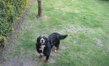 Residencia en Venta Ex. Hacienda Barbabosa, Zinacantepec, Edo. de México