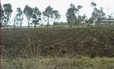 Terreno en Venta, Avenida Morelos, Aculco de Espinosa, Estado de  México
