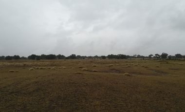 Terreno en venta, Tolcayuca, Hidalgo
