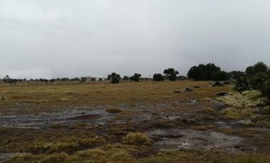 Terreno en venta, Tolcayuca, Hidalgo