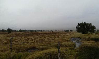 Terreno en venta, Tolcayuca, Hidalgo