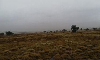 Terreno en venta, Tolcayuca, Hidalgo