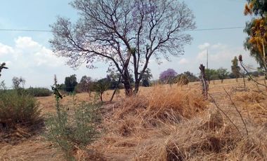 Terreno - Tecamachalco