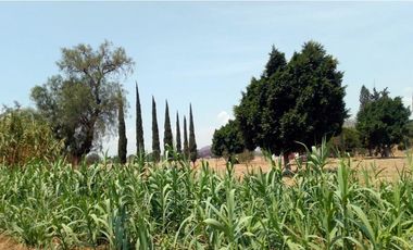 Terreno - Tecamachalco