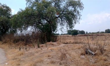 Terreno - Tecamachalco