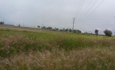 VENTA DE TERRENO INDUSTRIAL,CERCA CARRETERA