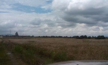 VENTA DE TERRENO INDUSTRIAL,CERCA CARRETERA