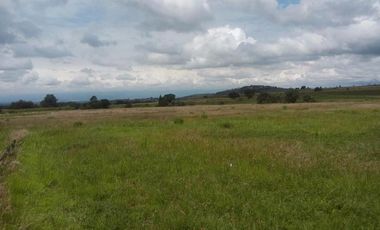 VENTA DE TERRENO INDUSTRIAL,CERCA CARRETERA