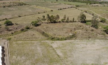 TERRENO EN VENTA TALA CASTRO URIELES