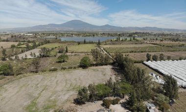 TERRENO EN VENTA TALA CASTRO URIELES