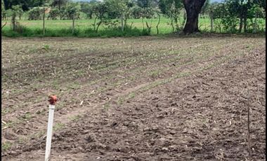 TERRENO EN VENTA TALA CASTRO URIELES