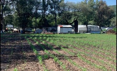 TERRENO EN VENTA TALA CASTRO URIELES