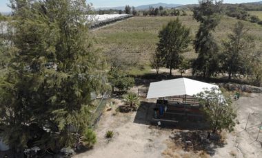 TERRENO EN VENTA TALA CASTRO URIELES