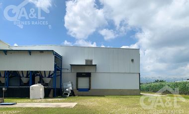 Terreno Nave industrial  y Oficinas en  Venta en la Orduña Coatepec