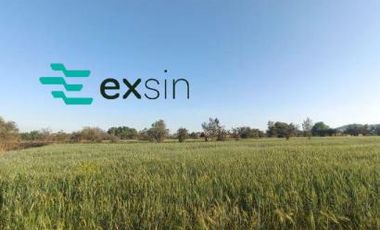 Terreno en Pueblo San Mateo Cuanala