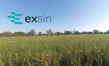 Terreno en Pueblo San Mateo Cuanala