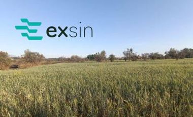 Terreno en Pueblo San Mateo Cuanala