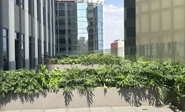 IB-CM0687 - Oficina en Renta en Reforma, 733 m2.