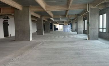 IB-CM0688 - Oficina en Renta en Reforma, 500 m2.