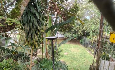 CASA EN ARRIENDO EN SECTOR NORTE/ARMENIA