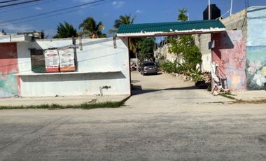 Terreno en Renta en el Centro de Chicxulub Puerto