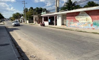 Terreno en Renta en el Centro de Chicxulub Puerto