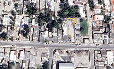 Terreno en Renta en el Centro de Chicxulub Puerto