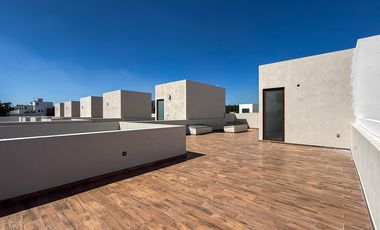 Paseo Jurica, Alondra