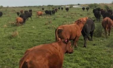 Campo en venta - 11.870.000mts2 - Entre Ríos