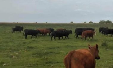 Campo en venta - 11.870.000mts2 - Entre Ríos