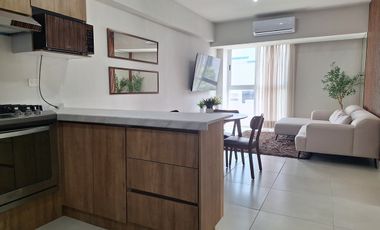 Depa Totalmente Amueblado y Equipado | San Nicolás