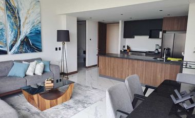 DEPARTAMENTO EN RENTA  EN TORRE 