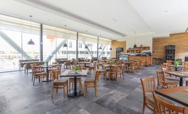 Departamento En Renta En Zona De Cascatta Lomas De Angelópolis